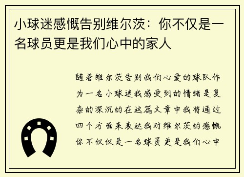 小球迷感慨告别维尔茨：你不仅是一名球员更是我们心中的家人