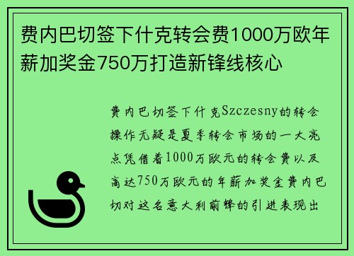 费内巴切签下什克转会费1000万欧年薪加奖金750万打造新锋线核心
