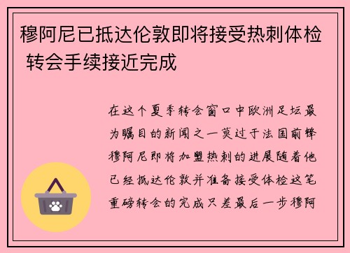 穆阿尼已抵达伦敦即将接受热刺体检 转会手续接近完成